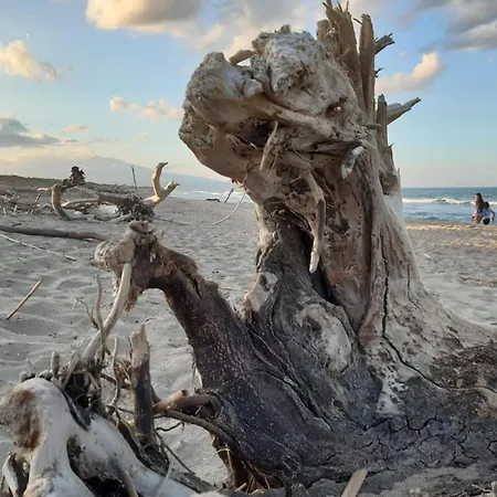 Biniritta 펜션 Villaggio San Leonardo